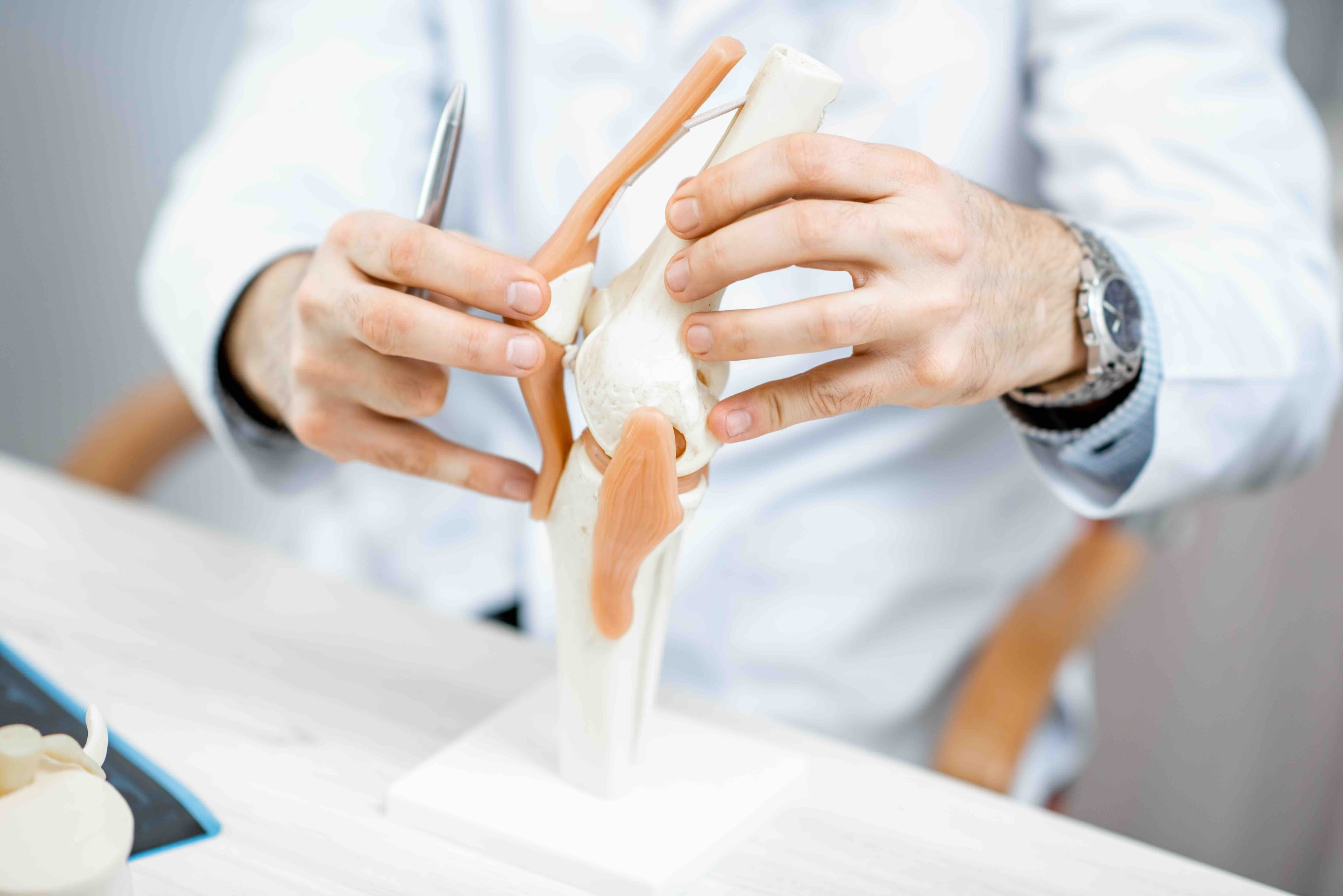 Arzt erklärt den Kniegelenksersatz anhand eines anatomischen Kniemodells